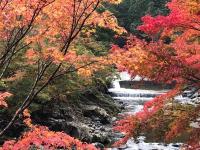 Minshuku Kawarabi-so - Chambres d'hôtes Iketsugawa