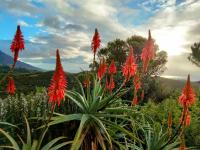 B&B Casares - Casa Mariposa - Bed and Breakfast Casares