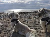 Sea and Mountain view Sunbeach Holiday Snowdonia - B&B Llwyngwril