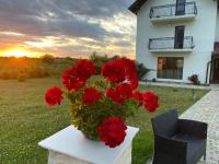 B&B Fryk - Pensiunea Ivoire - Bed and Breakfast Fryk