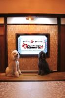 ドッグラン併設 しまなみ御殿 - B&B Imabari