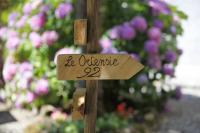 Le ortensie di Villa Vittoria nel verde a pochi minuti di auto dalle spiagge - B&B