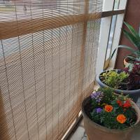 Deluxe Double Studio