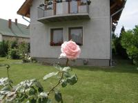 Ilona Vendégház Balatonszabadi - B&B Balatonszabadi