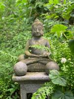 mon Ecolodge Creole - B&B Fort-de-France