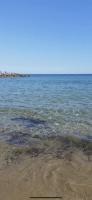 Villa Bianca a few steps by the sea with exclusive garden & jacuzzi - B&B Livorno
