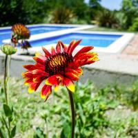 Llanten Dorado Cabañas - B&B