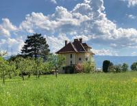 Vila Mir - Apartment - Chambres d’hôtes