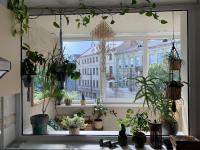 Three bedroom with two terraces for 7people+baby - B&B Kaunas