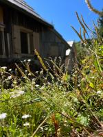 Chalet Velika Planina with Sauna - I FEEL ALPS - Bed and Breakfast Stahovica