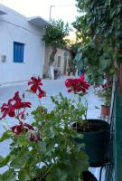 Olympios Apartment at Myrtos 1 minute from the beach - B&B