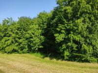 Apartmani Jana - B&B Bijelo Polje