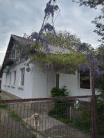 B&B Giurgiu - Casa Mocanu - Bed and Breakfast Giurgiu