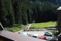 Cesa Alpes 2 - B&B Campitello di Fassa