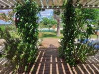 Monte das Aranhas - B&B