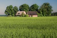 Wilmsboo - Bed and Breakfast Nieuw-Schoonebeek
