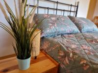 Siedlisko Discovery Mazury - B&B