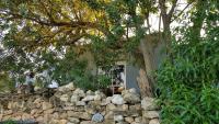 Buchu & Num-num - B&B Stanford