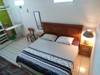 In the Soul of Vallarta Apartment - Bed and Breakfast Puerto Vallarta