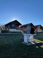 Pescuit la Conac - B&B Putineiu