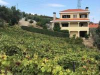 Casa dos Copins - B&B Lamego