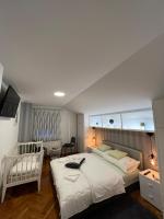 Appartamento con 2 Camere da Letto