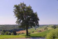 Raus aufs Land - Ferienwohnung Ederberg