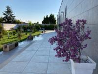 B&B Italia - B&B Carmiano