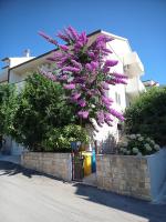 Apartments and Rooms Zvjezdana - B&B