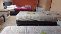 Chambre Familiale avec Salle de Bains Privative