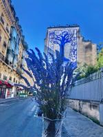 Quartier d'Emily in Paris - Ferienwohnung