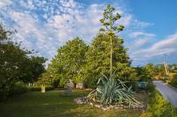 Apartma Pic Ros - B&B