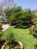 Olive house. - Bed and Breakfast Vlorë