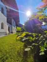 AlpenApartment Zillertal - B&B Hainzenberg