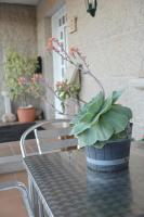 Casa de Conde - Bed and Breakfast