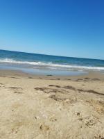 Salvia - Bed and Breakfast Ravda