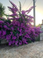 Apartman Rio - Ferienwohnung Lovran