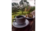 Pousada Chalé Terra Viva - Bed and Breakfast Carrancas