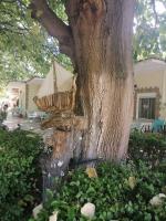 Βίλα Κατερίνα - Villa Katerina - B&B Kókkinon Nerón