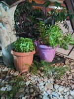 Katerina's apartment cozy and comfortable place - B&B Nafplion