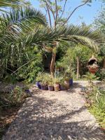 La Maison Du Bled - B&B Essaouira