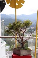 Apartamento Estudio