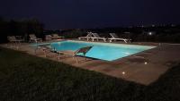 B&B Monopoli - Villa Dyria exclusive swimming pool - Bed and Breakfast Monopoli