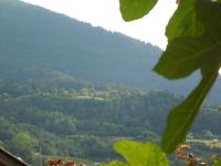 B&B Artemia - Ferienwohnung Trient