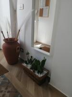 Palazzo Emy - Bed and Breakfast Lecce
