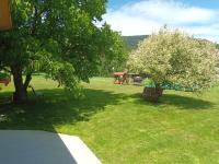 la remus 2 - Bed and Breakfast Moieciu de Jos