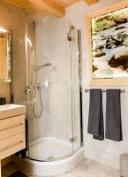 One-Bedroom Apartment with Shower