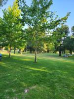 La Pedrosa Casa Rural - B&B Camarzana de Tera