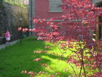 Villa Relax Aria Fresca Naturale - Montagna - 15 minuti da Pistoia- Toscana - B&B Pistoia