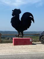 Il Nido di Rondine - B&B Siena